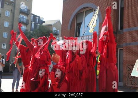 Lecture, UK, 20e Sep 2019, les militants de la grève et de militants sont descendus dans la rue dans la lecture pour mettre en évidence les dangers du changement climatique. Credit : Uwe Deffner / Alamy Live News Banque D'Images