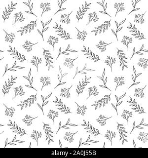 Transparente Floral pattern. Vector hand drawn fines herbes Illustration de Vecteur