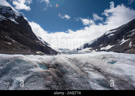 Glacier Athabasca dans le champ de glace Columbia, Alberta, Canada. Banque D'Images