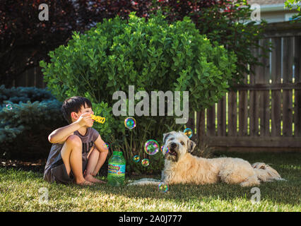 Jeune garçon faisant des bulles pour son chien dans un jardin un jour d'été. Banque D'Images