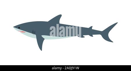 Vector illustration d'un dangereux requin blanc sur un fond blanc. Vue de côté, plat traditionnel. Illustration de Vecteur