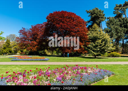 CHRISTCHURCH, Nouvelle-zélande - 18 octobre 2018 : le paysage, les Jardins Botaniques de Christchurch Banque D'Images