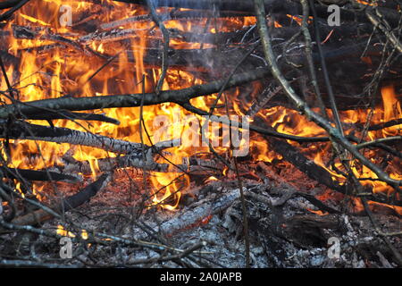 Gravure de brindilles sur un grand feu de joie Banque D'Images