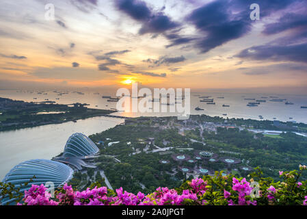 Singapour - 11 NOVEMBRE 2018 : Parc futuriste 'jardins au bord de la bay' Banque D'Images