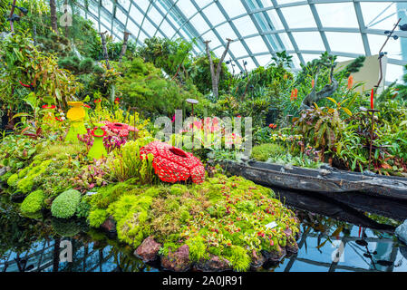 Fleur au jardin par la baie , forêt de nuage Banque D'Images