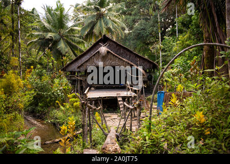 Maison de famille Mentawai typique Banque D'Images