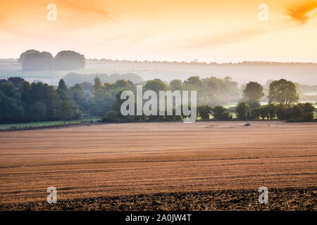 A la fin de l'été le lever du soleil sur la Marlborough Downs, près de West Kennet. Banque D'Images