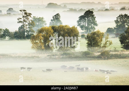 A la fin de l'été le lever du soleil sur la Marlborough Downs, près de West Kennet. Banque D'Images