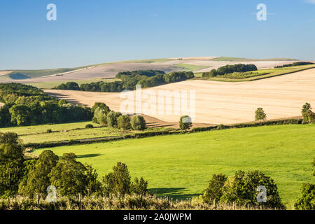 A la fin de l'été le lever du soleil sur la Marlborough Downs, près de West Kennet. Banque D'Images