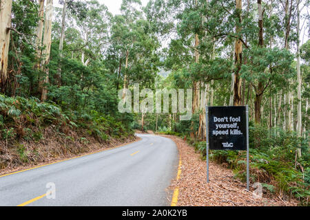 Mt Buller, Victoria, Australie - le 23 mars 2017. Motor road Mt Buller district de Victorian High Country en Australie avec 'ne pas tromper vous-même. Speed Banque D'Images