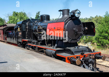 Maldon, Victoria, Australie - 1 mars, 2017. Train à vapeur historique d'exécution sur la route de Castlemaine Maldon - dans les champs aurifères de Victoria, en Australie. Banque D'Images