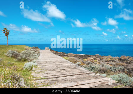 Passerelle en bois près de la côte de l'océan - Sentier du bois - Banque D'Images