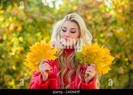 Fille maquillage visage rêve tenir tas feuilles d'érable. Femme promenade en automne parc. Dame posant avec des feuilles automne nature arrière-plan. Automne saison favorite concept. L'automne est sa saison préférée de l'année. Banque D'Images