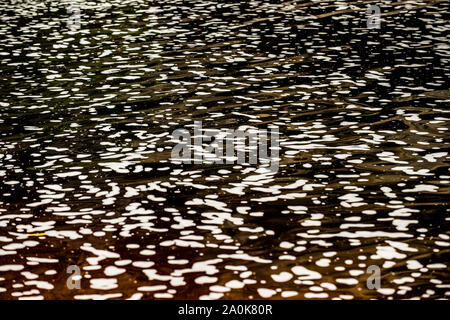 La mousse de la rivière sur les eaux d'Ibitipoca brun foncé Banque D'Images