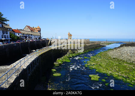 La rivière Lyn sur son chemin vers la mer à Lynmouth Banque D'Images