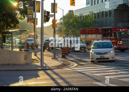 Tôt le matin, sur la rue Sherbourne et Bloor au début de l'automne ensoleillé et toujours à Toronto. Bientôt, il va être froid et sombre :( Banque D'Images