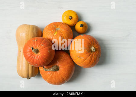 Gros tas de citrouilles orange et deux petits jaune sur fond blanc Banque D'Images