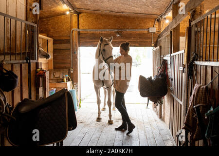 Jeune femme active en mettant sur brides casualwear cheval blanc Banque D'Images