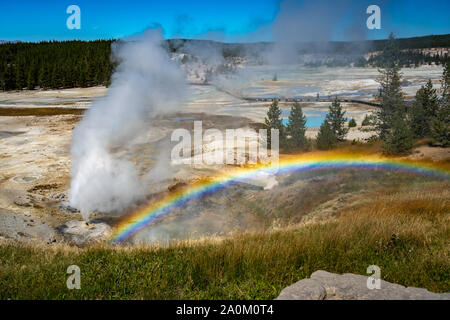 Arc-en-ciel sur le Norris Geyser Basin dans le Parc National de Yellowstone, Wyoming, USA Banque D'Images