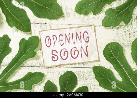 Texte de l'écriture ouverture bientôt. Photo conceptuelle sera disponible ou accessible à tout moment en public sous peu Banque D'Images