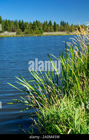 Ewauna Lake Recreation Area, Keno, Klamath Comté (Oregon) Banque D'Images