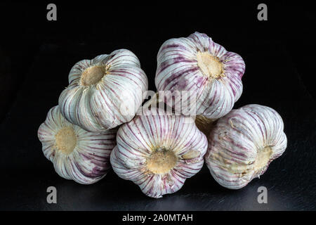 L'ail dans un bundle Banque D'Images