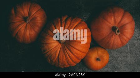 À partir de la photo ci-dessus de quatre citrouilles orange en blanc sur fond noir, célébration de l'halloween Banque D'Images