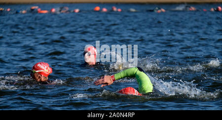 La serpentine, Hyde Park, London, UK. 21 Septembre 2019 Les gens nager dans la Serpentine Lake pour le UK Cancer nager une serpentine jours festival de natation en eau libre. Crédit : Matthieu Chattle/Alamy Live News Banque D'Images