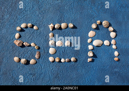 Mot mer fait de coquillages sur fond bleu top view close up, vacances d'été vacances plage mer concept, design, lettres de coquillages télévision lay Banque D'Images