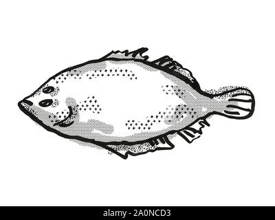 Retro cartoon style dessin d'un flet Lefteye , originaire de la vie marine australienne vu de côté des espèces isolées sur fond blanc fait à bla Banque D'Images