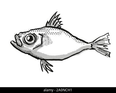 Retro cartoon style dessin d'un Japonais Dory , originaire de la vie marine australienne vu de côté des espèces isolées sur fond blanc fait dans un noir Banque D'Images