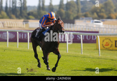 Ryan Moore et Cherokee Trail gagner de la section I de la Journée de la famille SIS EBF Novice Stakes course à l''hippodrome de Newbury. Banque D'Images