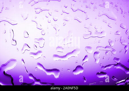 Verre humide en gouttes d'eau ou de la pluie, de couleur pourpre, lumineux studio light, gradient, miroir humide surface texture background close up Banque D'Images