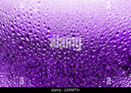 Verre humide en gouttes d'eau ou de la pluie, de couleur pourpre, lumineux studio light, gradient, miroir humide surface texture background close up Banque D'Images