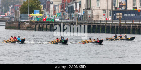 Cork, Irlande. Sep 21, 2019. Currachs mens pour l'épreuve de la Naomhóga Chorcaí régate annuelle qui a eu lieu sur la Rive Lee à Cork, en Irlande. -Photo ; Crédit : David Creedon/Alamy Live News Banque D'Images