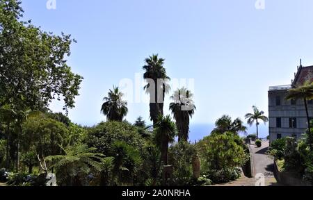 Monte, Funchal, Madeira, Portugal - 26 août 2019 - Vue panoramique sur le jardin botanique et tropicaux Banque D'Images