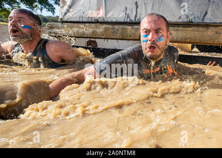 Horsham, Royaume-Uni. Sep 21, 2019. Les concurrents participent à la Tough Mudder London Sud, la célèbre Tough Mudder est endurance style militaire parcours conçus pour tester tout autour de la force, l'endurance, le travail d'équipe Crédit : Jason Richardson/Alamy Live News Banque D'Images