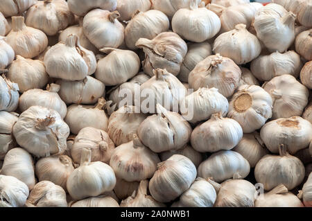 Pile l'ail blanc frais texture background Banque D'Images