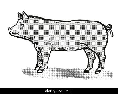 Retro cartoon style dessin d'une truie Berkshire ou sanglier, une race de porc vu de côté isolées sur fond blanc en noir et blanc Banque D'Images