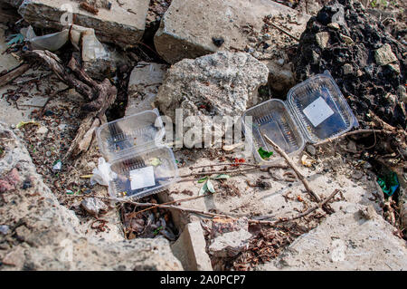 Les contenants de plastique et de déchets dans la forêt. La pollution de l'environnement. Question de l'environnement et des catastrophes. Passez au vert, zéro déchet, Sauver la Planète Terre, Da Banque D'Images