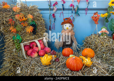 Sur une balle de paille pommes et citrouilles étaient disposés avec amour comme décoration Banque D'Images