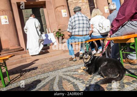 Karlsruhe, Allemagne. Sep 21, 2019. Un chien se situe pendant le premier concile œcuménique de l'animal avec des bénédictions à l'air libre sur la place en face de l'église Saint Stéphane. Le produit du don sera remis à la maison animale Karlsruhe. Credit : Philipp von Ditfurth/dpa/Alamy Live News Banque D'Images