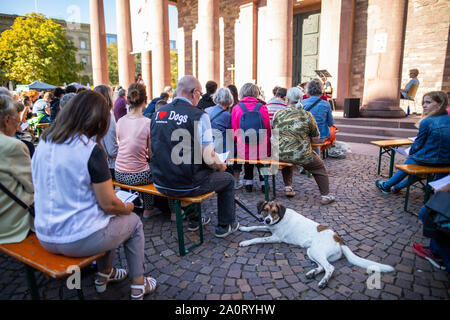 Karlsruhe, Allemagne. Sep 21, 2019. Un chien se situe pendant le premier concile œcuménique de l'animal avec des bénédictions à l'air libre sur la place en face de l'église Saint Stéphane. Le produit du don sera remis à la maison animale Karlsruhe. Credit : Philipp von Ditfurth/dpa/Alamy Live News Banque D'Images