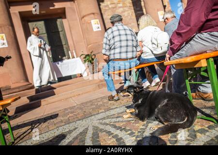 Karlsruhe, Allemagne. Sep 21, 2019. Un chien se situe pendant le premier concile œcuménique de l'animal avec des bénédictions à l'air libre sur la place en face de l'église Saint Stéphane. Le produit du don sera remis à la maison animale Karlsruhe. Credit : Philipp von Ditfurth/dpa/Alamy Live News Banque D'Images