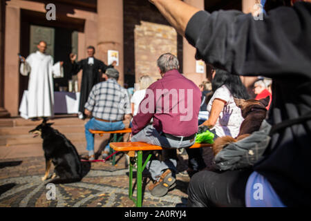 Karlsruhe, Allemagne. Sep 21, 2019. Un petit chien se situe pendant le premier concile œcuménique de l'animal avec bénédictions sous le ciel ouvert sur la place en face de l'église Saint Stéphane sur les genoux de son propriétaire. Le produit du don sera remis à la maison animale Karlsruhe. Credit : Philipp von Ditfurth/dpa/Alamy Live News Banque D'Images