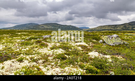 Le Parc National de Rondane paysage dans Oppland Norvège Banque D'Images