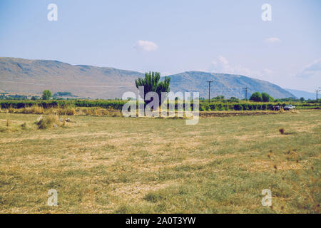République grecque. Les champs et les montagnes, l'herbe et les arbres. Au loin les montagnes et ciel. 13. Septembre 2019. Banque D'Images