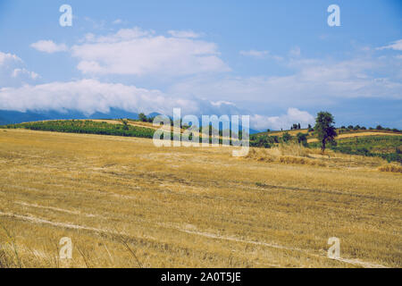 République grecque. Les champs et les montagnes, l'herbe et les arbres. Au loin les montagnes et ciel. 13. Septembre 2019 Banque D'Images