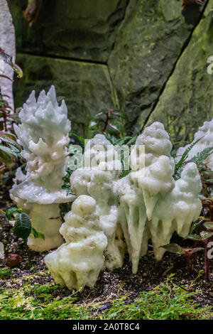 Singapour - Mars 22, 2019 : Jardins de la baie, les nuages du dôme. Libre de stalagmites blanches contre des roches couvertes de vert. Banque D'Images