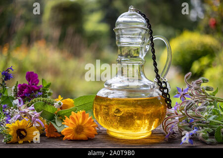 Une bouteille d'huile avec des fleurs de bourrache, de calendula, sauge sclarée et autres herbes et fleurs Banque D'Images